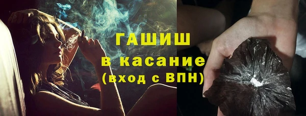 индика Верея