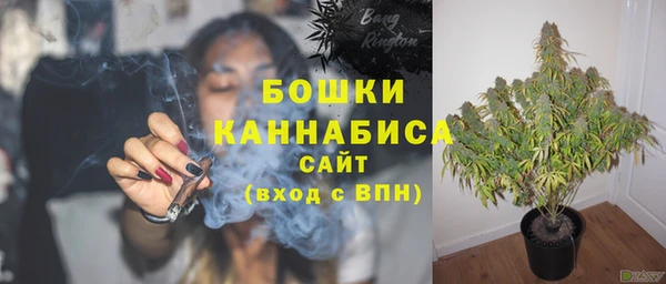 индика Верея