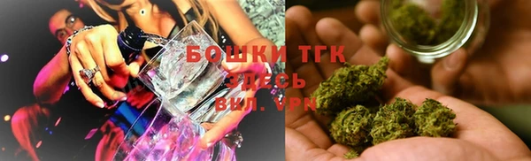 мдпв Богородицк