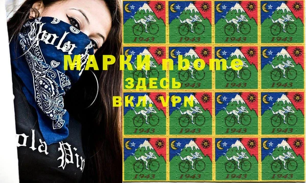 индика Верея