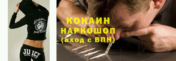 индика Верея