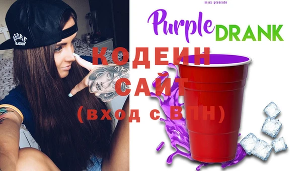 индика Верея